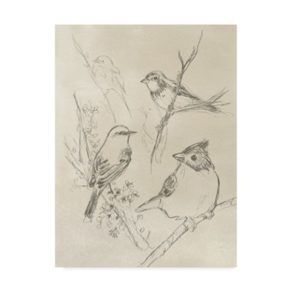 Trademark Fine Art June Erica Vess 'Vintage Songbird Sketch I' Canvas Art, 14x19 WAG09538-C1419GG